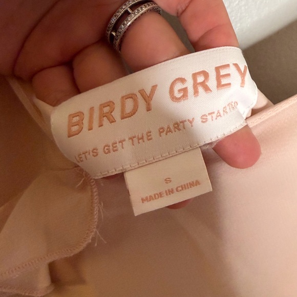 NWT Birdy Grey Valentina Chiffon Maxi Dress in Pale Blush - Picture 6 of 7